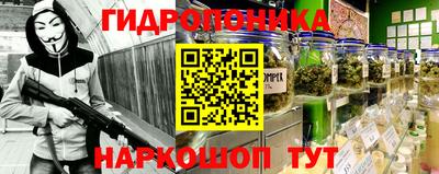 гашик Шебекино