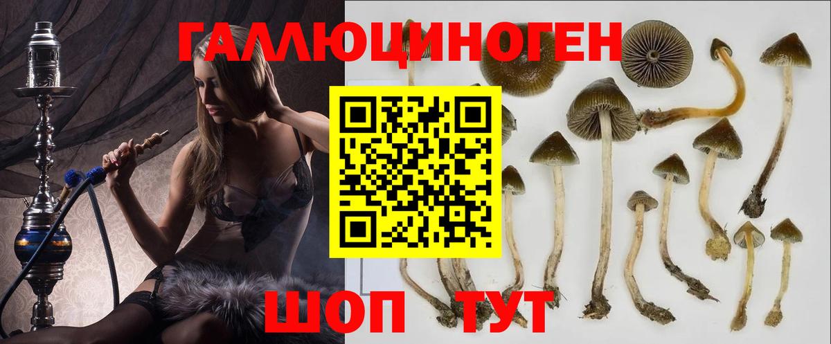 закладка  Вход с VPN  Минусинск  Галлюциногенные грибы Magic Shrooms 